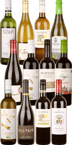 No Sulphur Added Collection Case