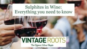 sulphites in wine