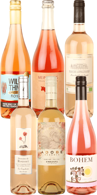 Mixed Rosé Case