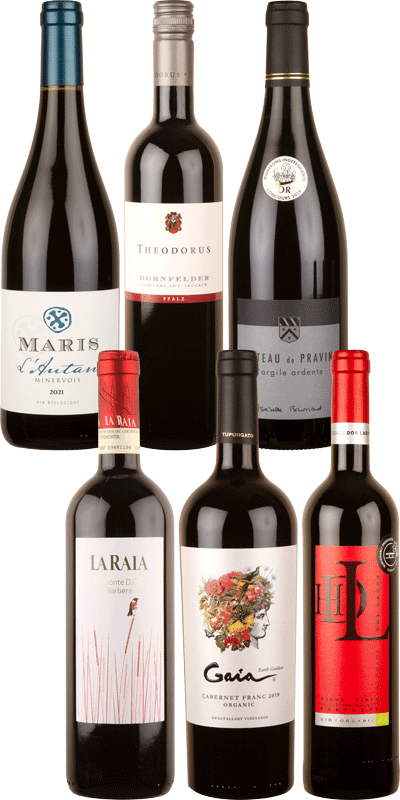 Bargain Reds Mixed Six