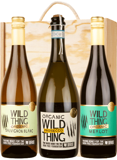 Wild Thing Trio Gift Box