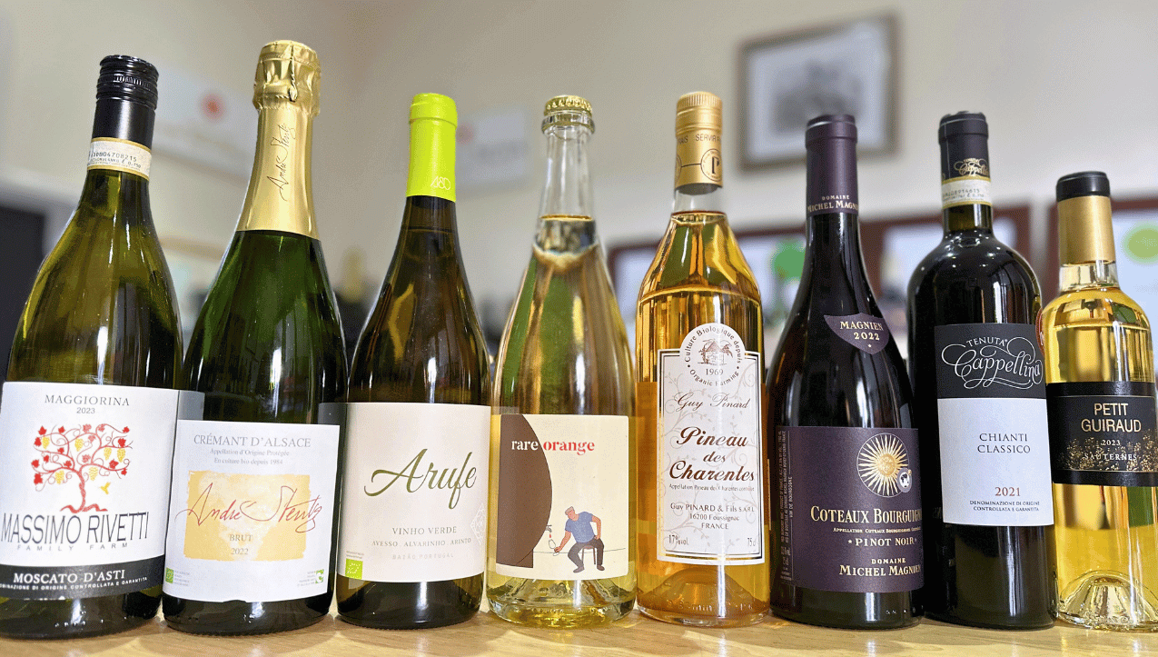 2025 Festive Staff Picks